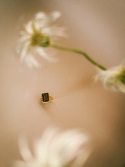 I am Grounded - Emerald cut Amethyst/Smokey Quartz 18K