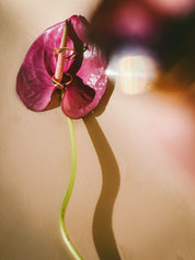 I am Loved ring stacking set - Pink Tourmaline 18K