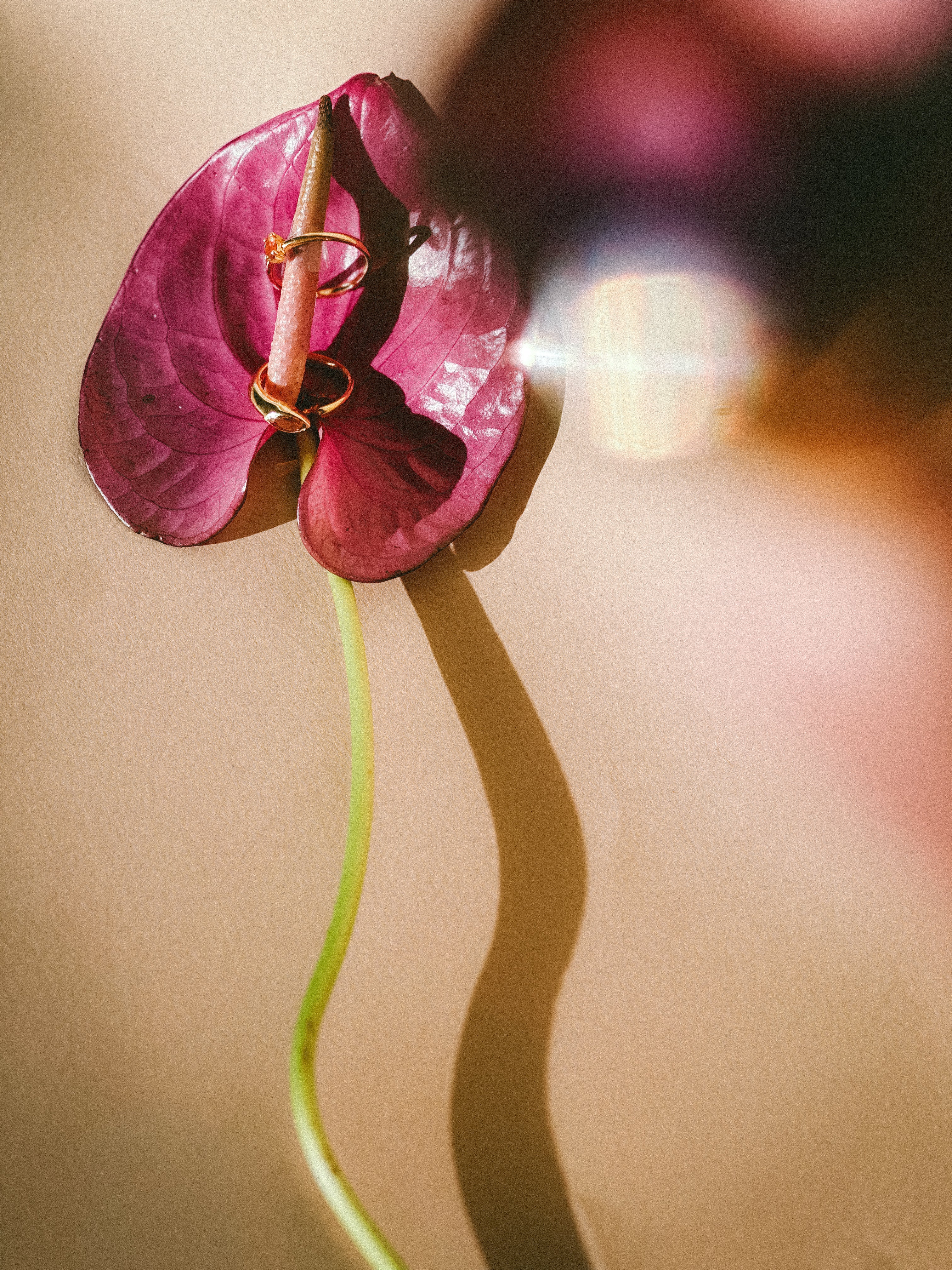 I am Loved ring stacking set - Pink Tourmaline 18K